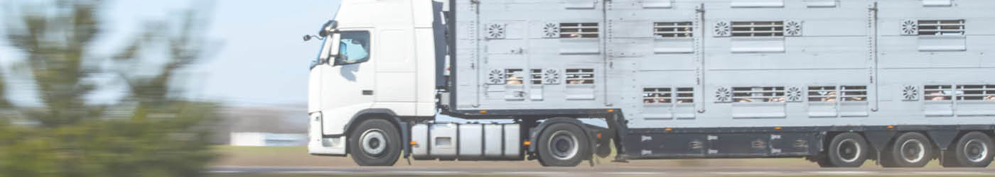Kleintransporter Leasing, LKW Leasing, LKW Mietkauf, Transporter Mietkauf, Transporter Leasing, Transporter mieten